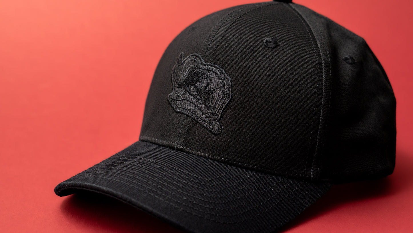 Fabvl Logo Hat - Stealth