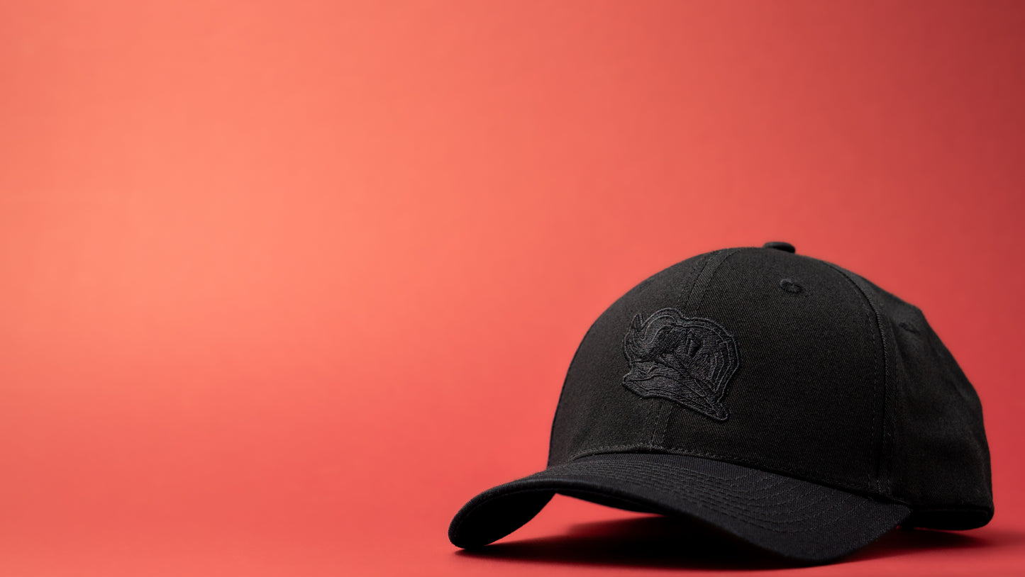 Fabvl Logo Hat - Stealth