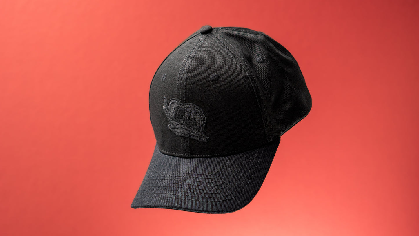 Fabvl Logo Hat - Stealth