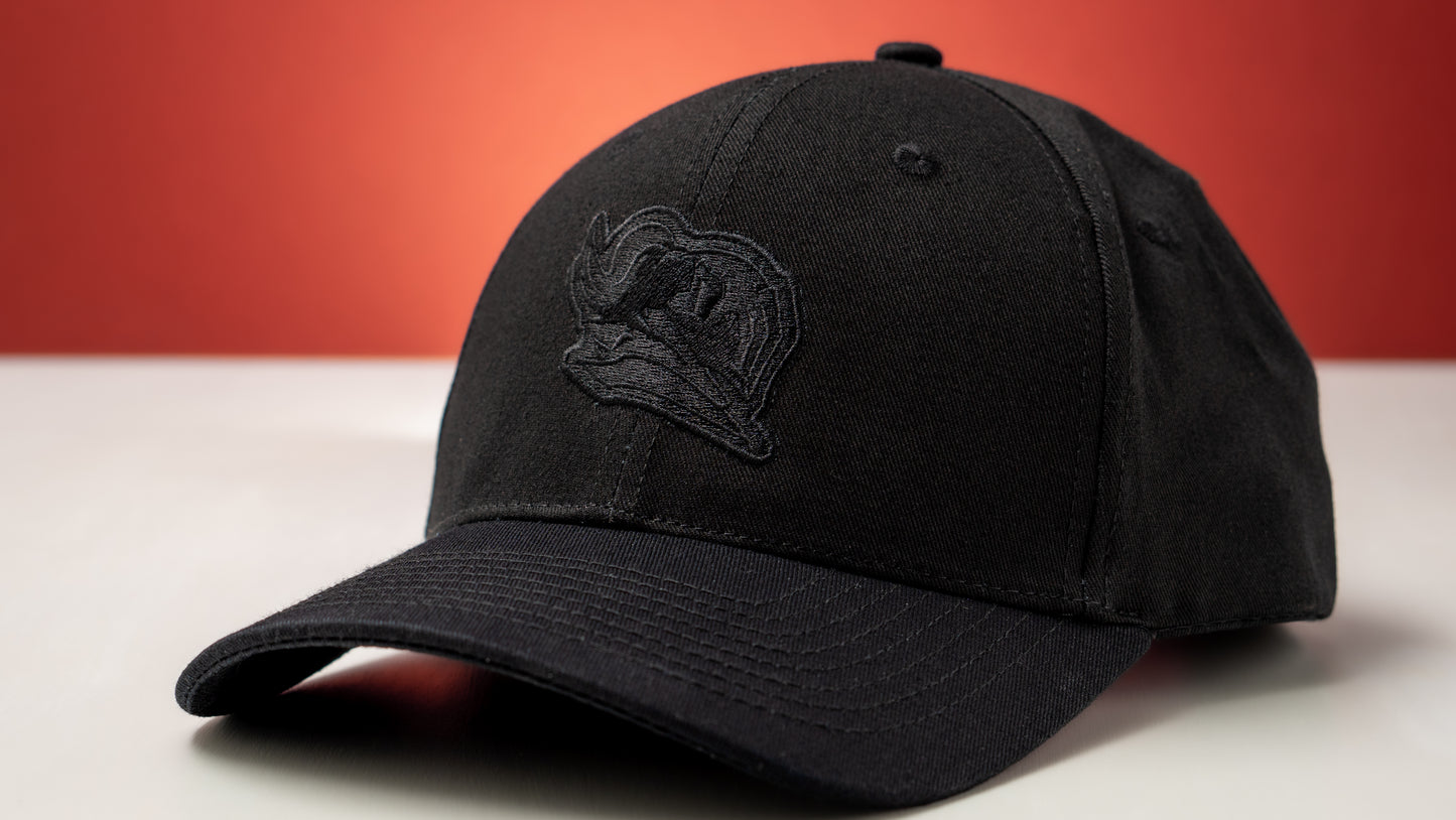 Fabvl Logo Hat - Stealth