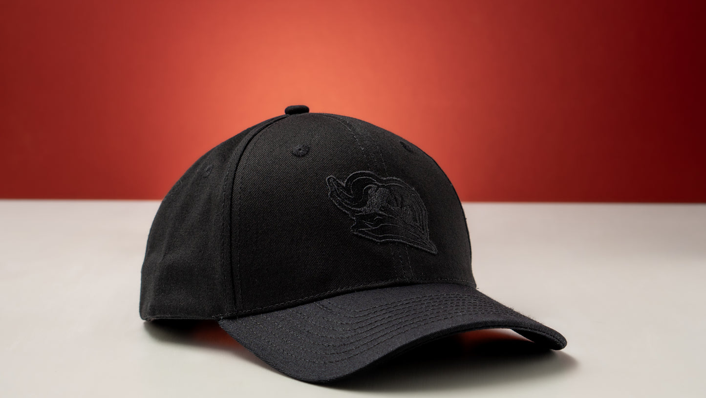 Fabvl Logo Hat - Stealth