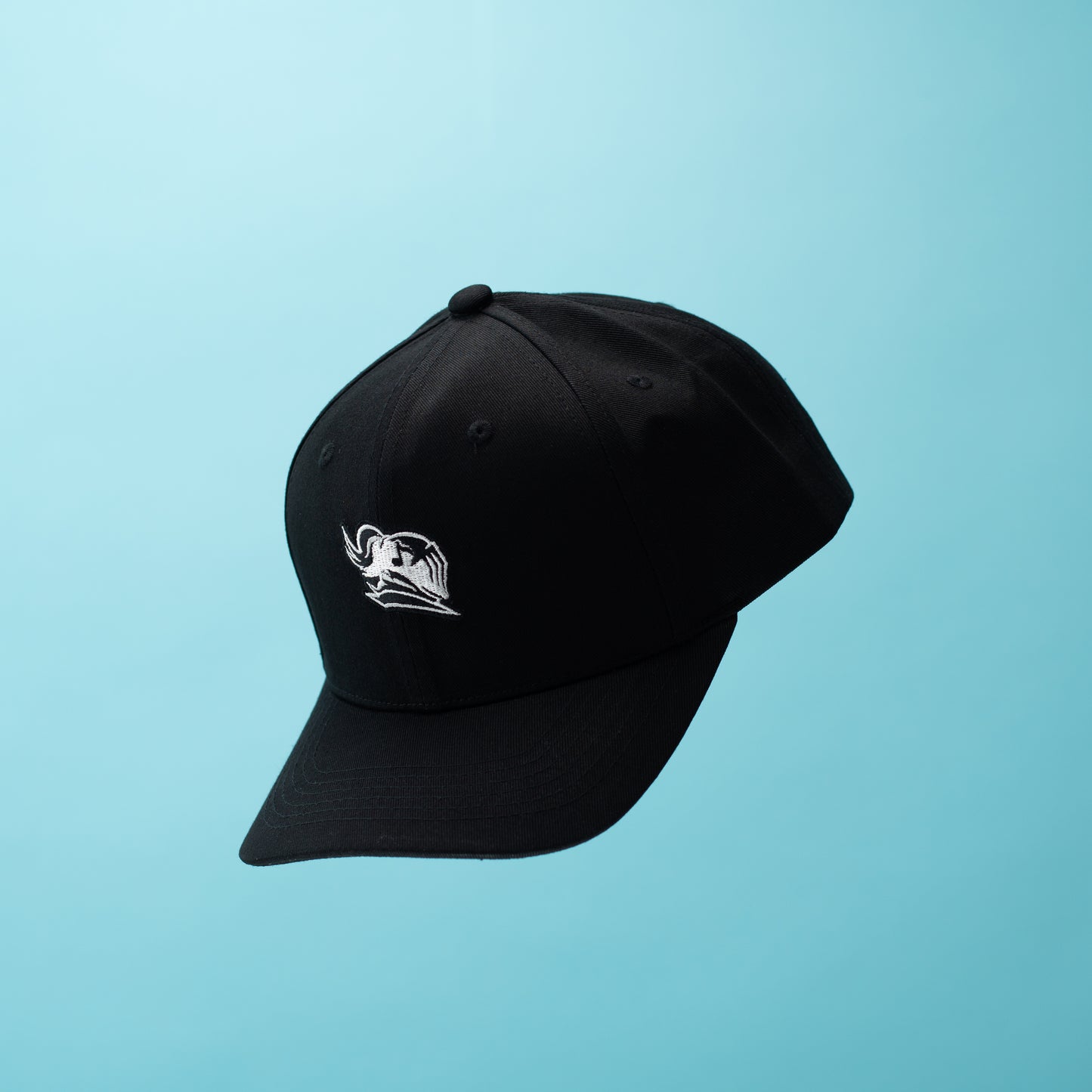 Fabvl Logo Hat
